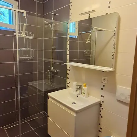 Lebedina Apartament